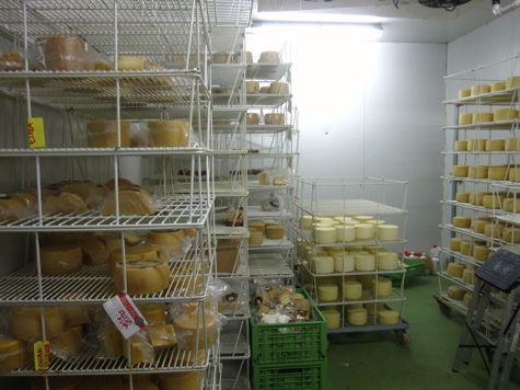 cheese-making in navarra